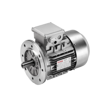 Motoare electrice Elvem - Amitech
